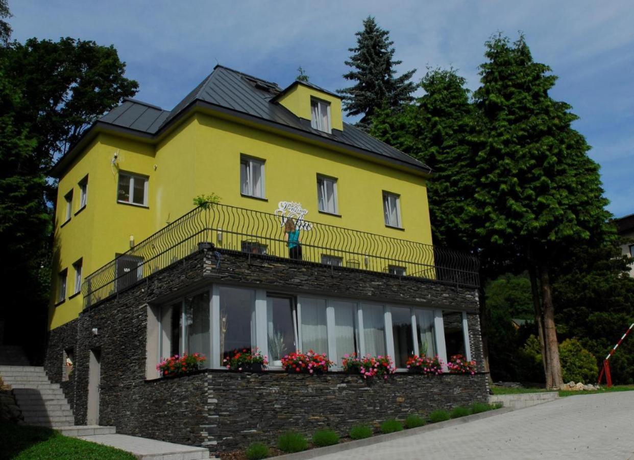 Pension Valja Janske Lazne Exterior photo